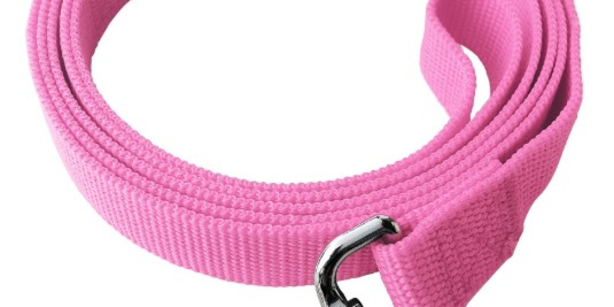 Luxury Meets Pet Fashion: The Designer Pet Leash Trend