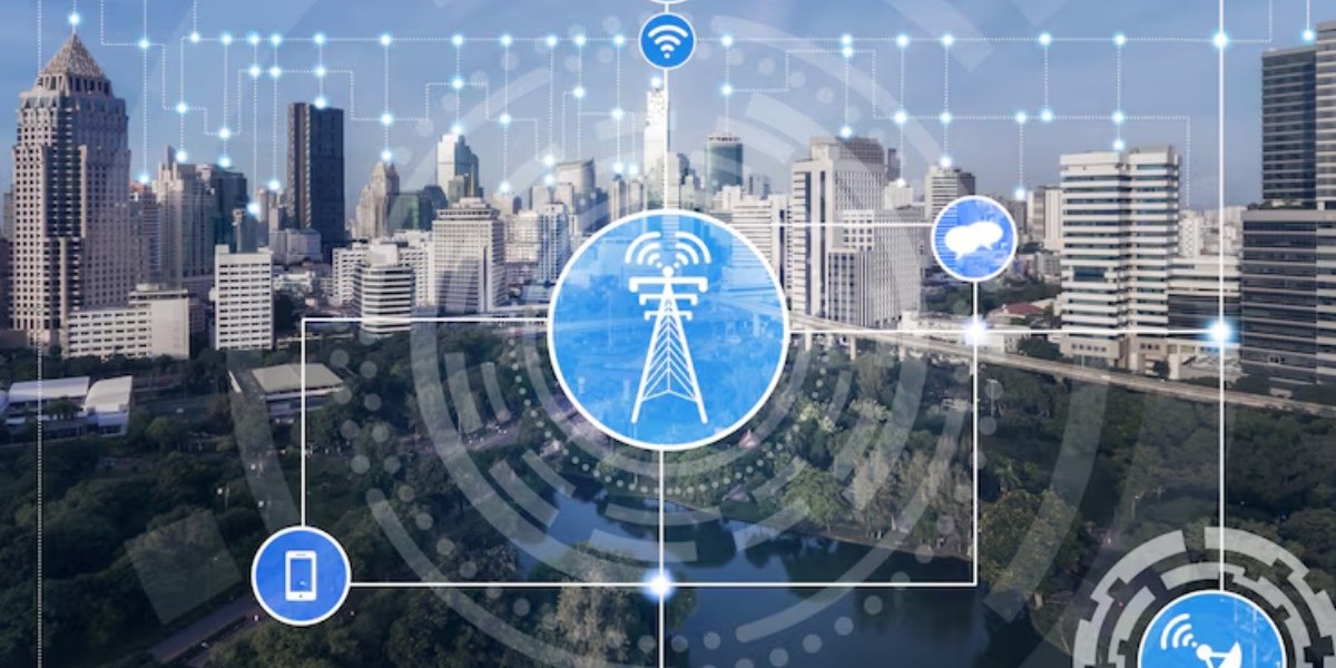 Streamlining IT Operations: Asset Management Software Insights