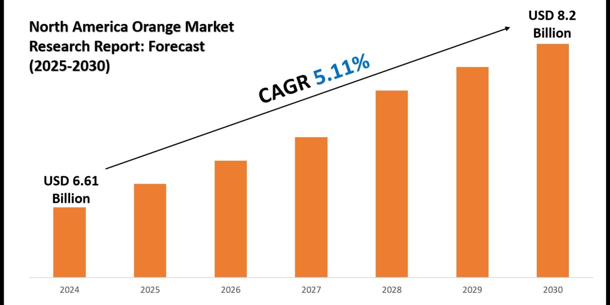 North America Orange Market Outlook for Stakeholders & Investors