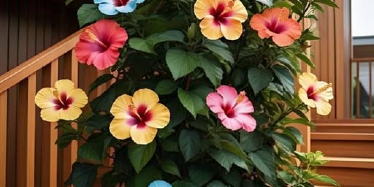 Leafs and Bruins going in the direction of Match 7