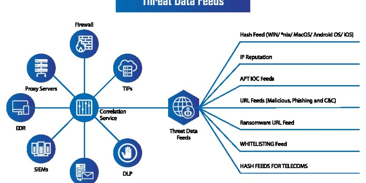 Global Threat Intelligence Security Service Market Size and Growth Overview